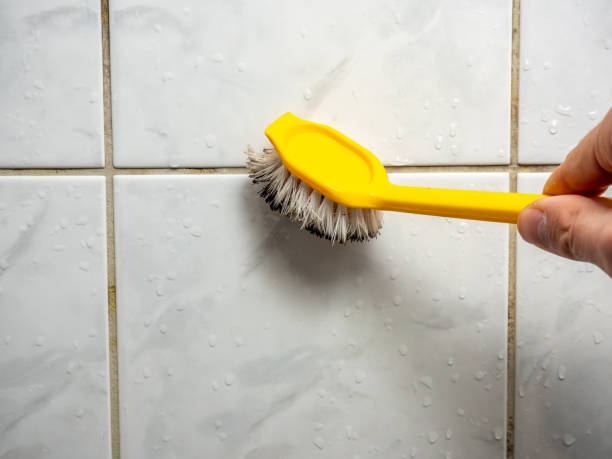 Best DIY Mold Remediation Support Services in Brownwood, TX