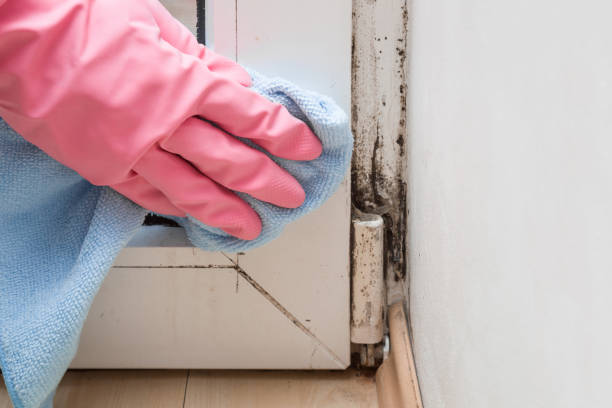 Best Crawl Space Mold Remediation in Brownwood, TX